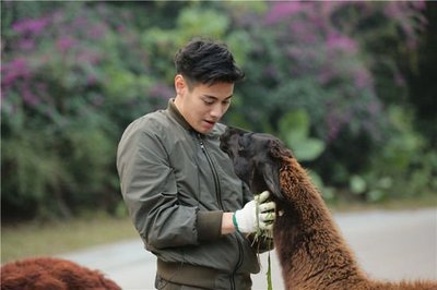 《奇妙的朋友》 收視蟬聯(lián)冠軍，飼養(yǎng)員與動(dòng)物共成長(zhǎng)
