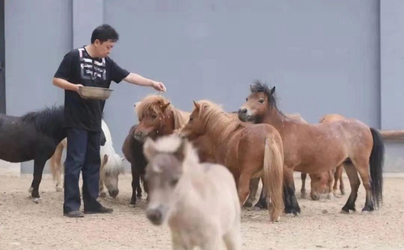 于謙個(gè)人簡(jiǎn)介(于謙副業(yè)說(shuō)相聲玩兒才是主業(yè))